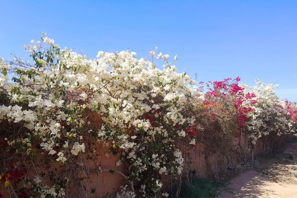 Villa Agora, Villa A La Campagne Proche Marrakech Sidi Abdallah Ghiat Exteriér fotografie